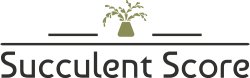 Succulent Score Logo